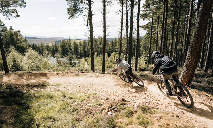 Bidwells appointed to manage Crown Estate Scotland’s rural portfolio