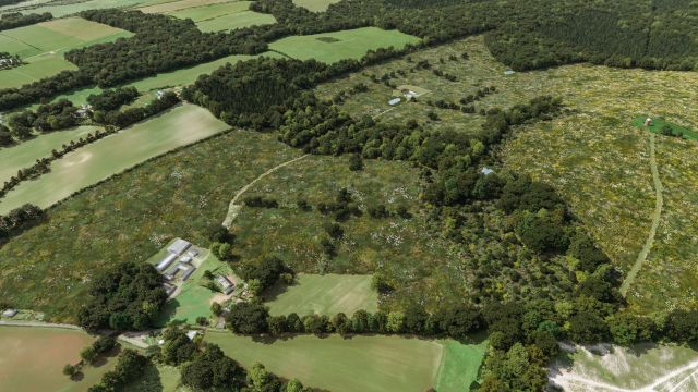 Halnaker Hill Natural Capital partners with Bidwells for one of the UK’s largest ever  Biodiversity Net Gain schemes