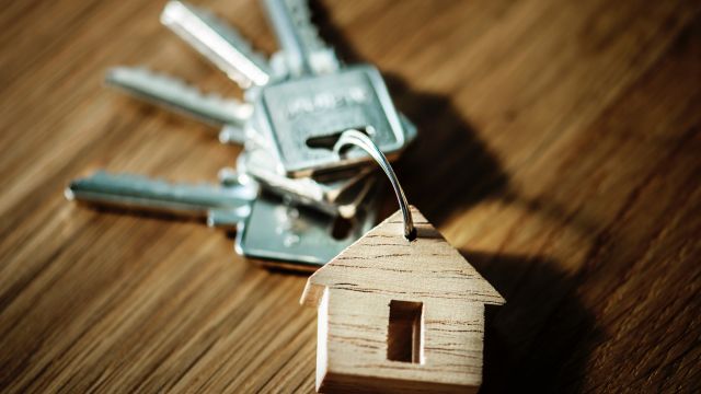 Vengrove Partners with Leading Impact Advisory Firm