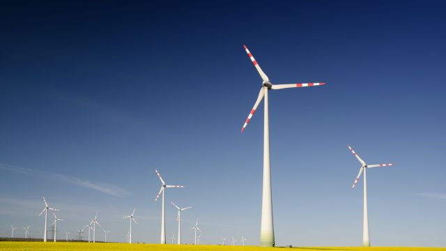 The Crown Estate commits to Net Zero by 2030